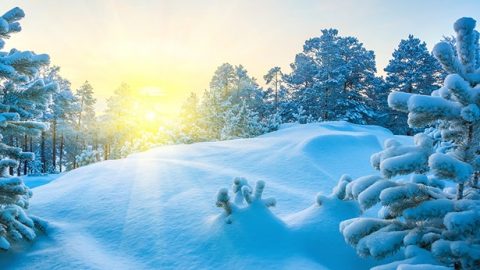 흑암한 마귀 감옥에서 하나님 사랑이 함께하다