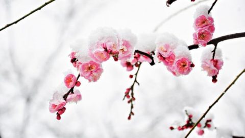 하나님은 내 생명의 힘