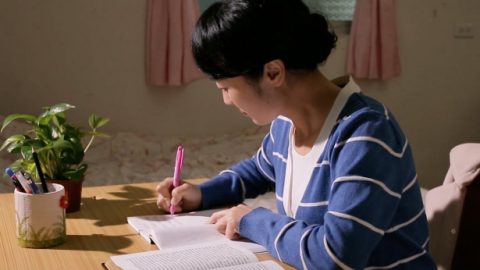 비둘기가 전한 편지